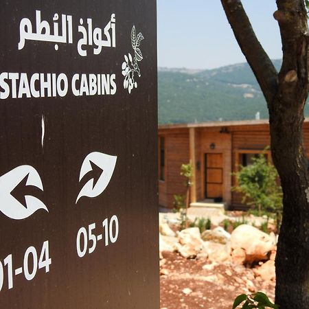 Hotel Ajloun Forest Reserve Zewnętrze zdjęcie