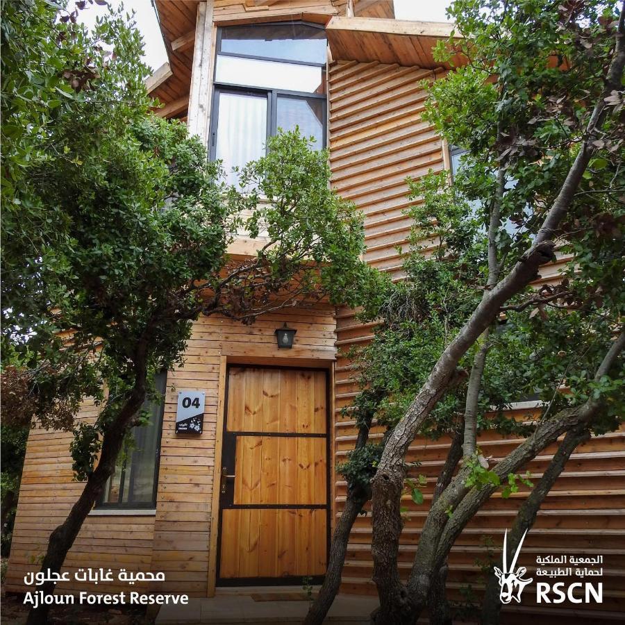 Ajloun Forest Reserve Dżarasz Zewnętrze zdjęcie