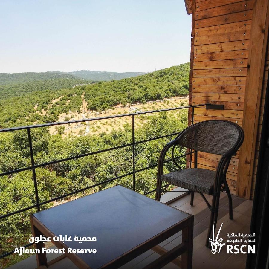 Hotel Ajloun Forest Reserve Zewnętrze zdjęcie