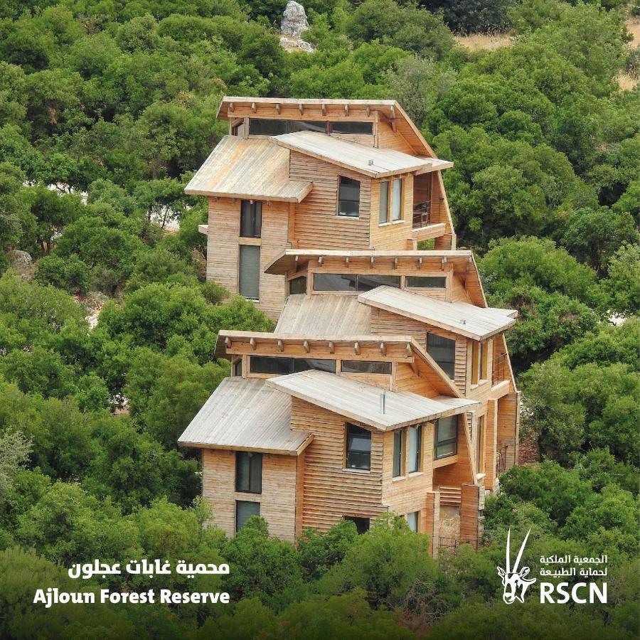 Hotel Ajloun Forest Reserve Zewnętrze zdjęcie