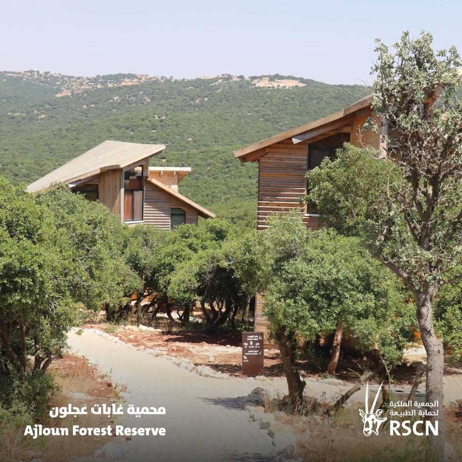 Hotel Ajloun Forest Reserve Zewnętrze zdjęcie