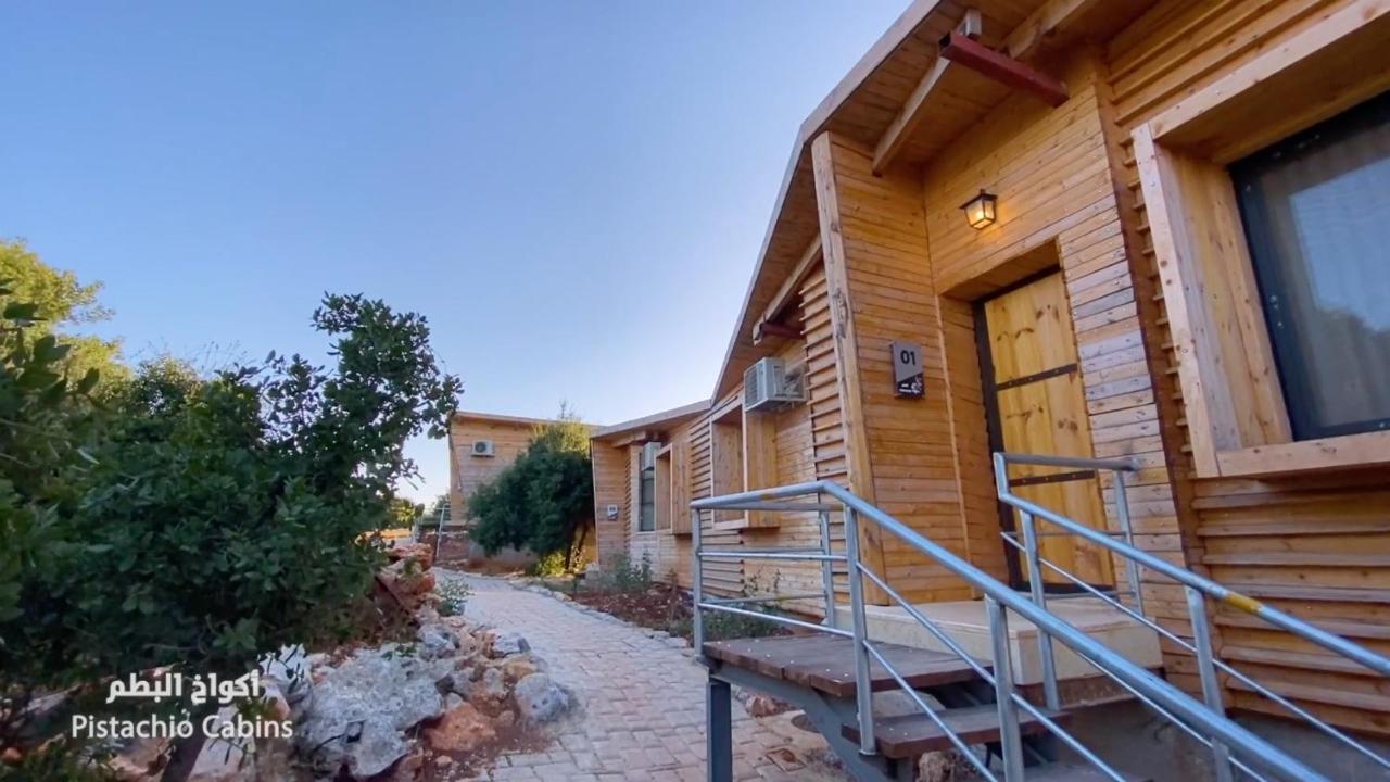 Hotel Ajloun Forest Reserve Zewnętrze zdjęcie