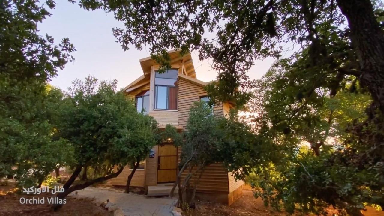 Ajloun Forest Reserve Dżarasz Zewnętrze zdjęcie