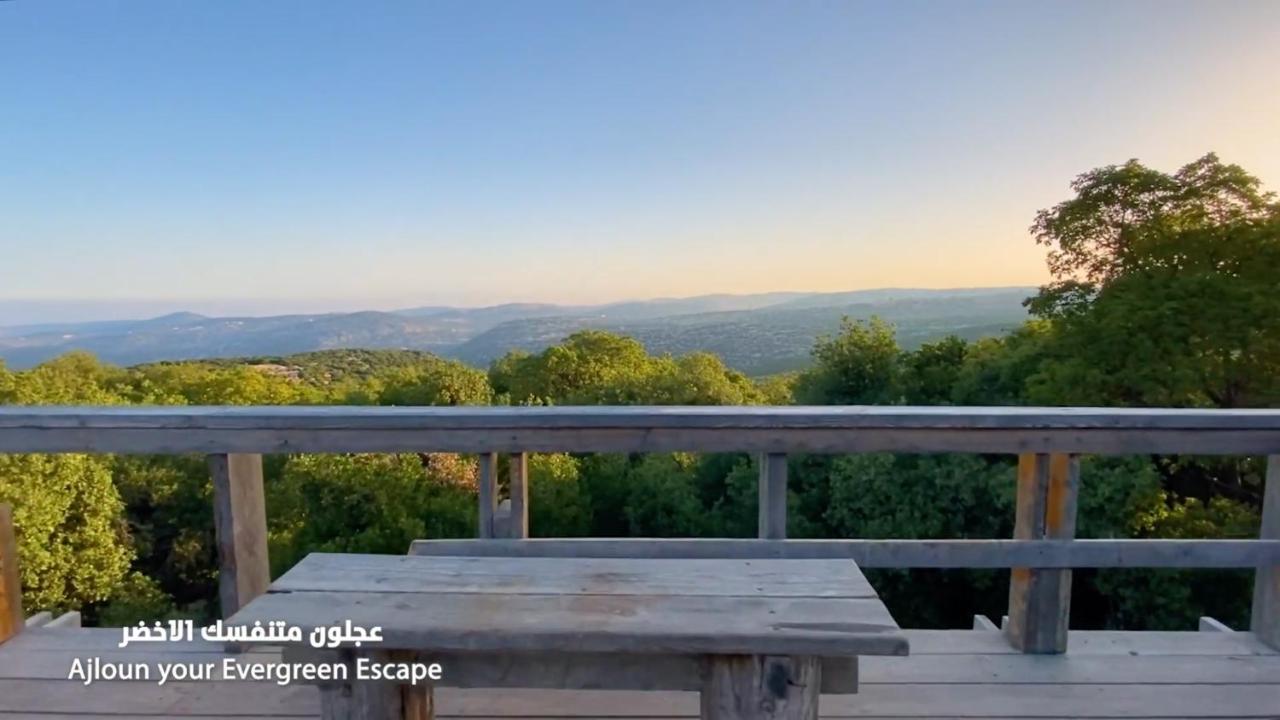 Hotel Ajloun Forest Reserve Zewnętrze zdjęcie