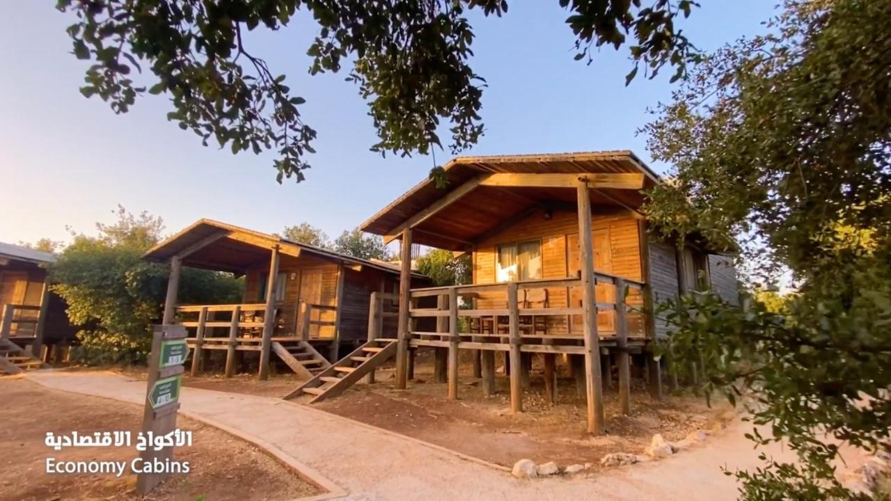 Ajloun Forest Reserve Dżarasz Zewnętrze zdjęcie