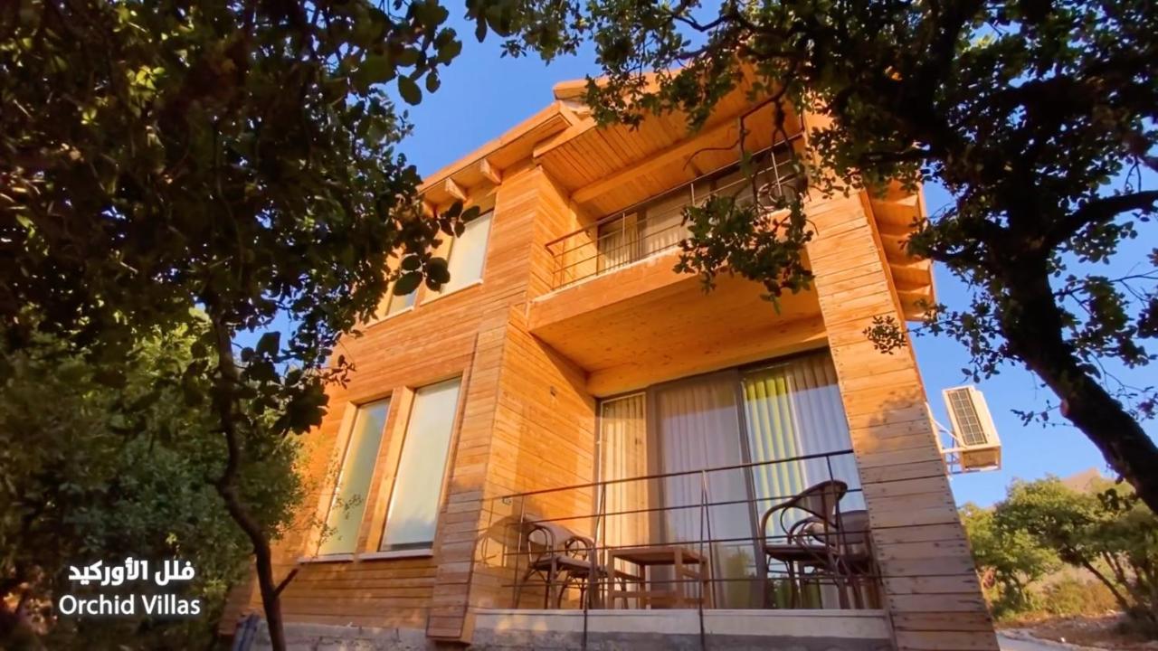 Hotel Ajloun Forest Reserve Zewnętrze zdjęcie