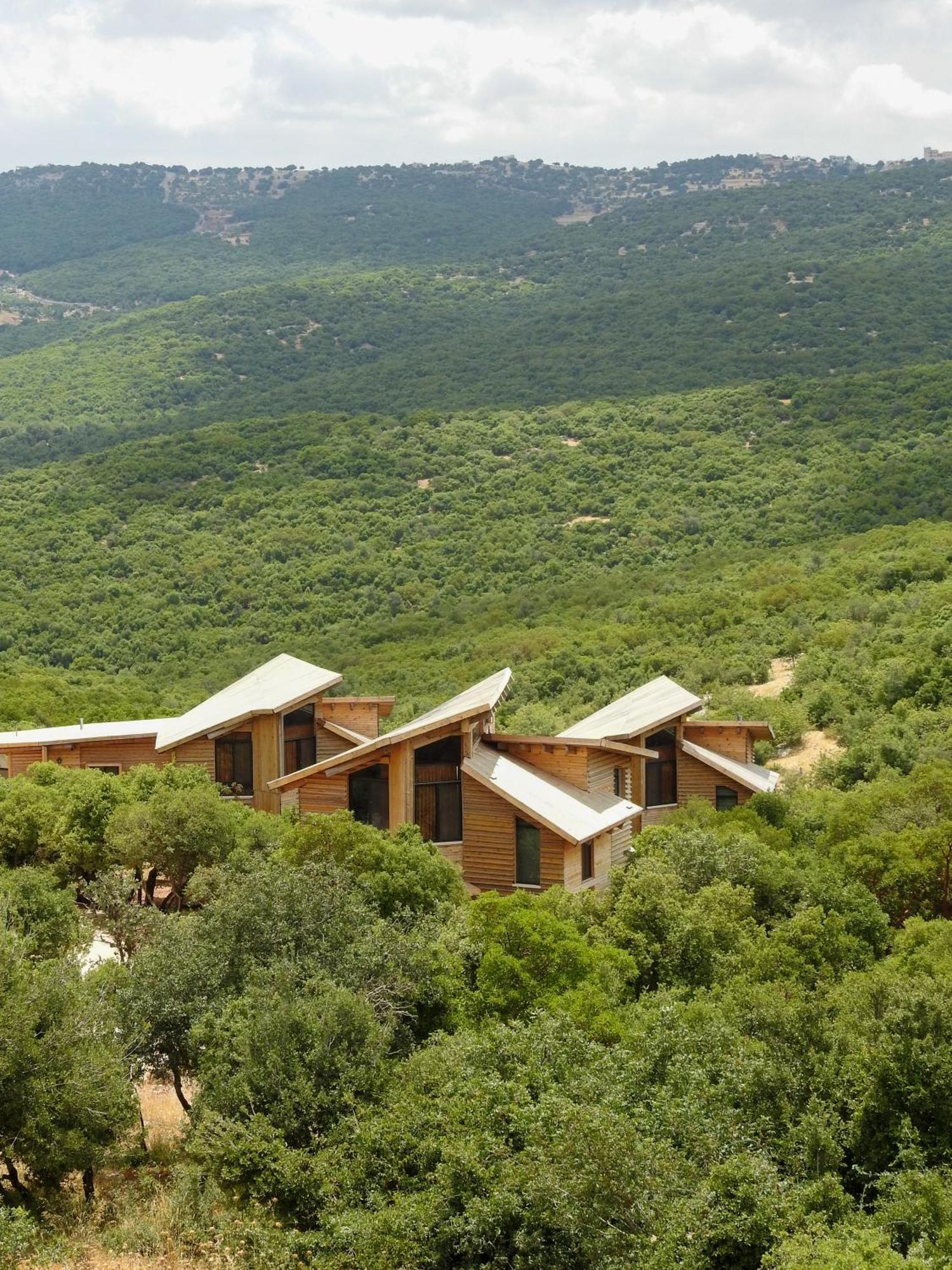 Hotel Ajloun Forest Reserve Zewnętrze zdjęcie