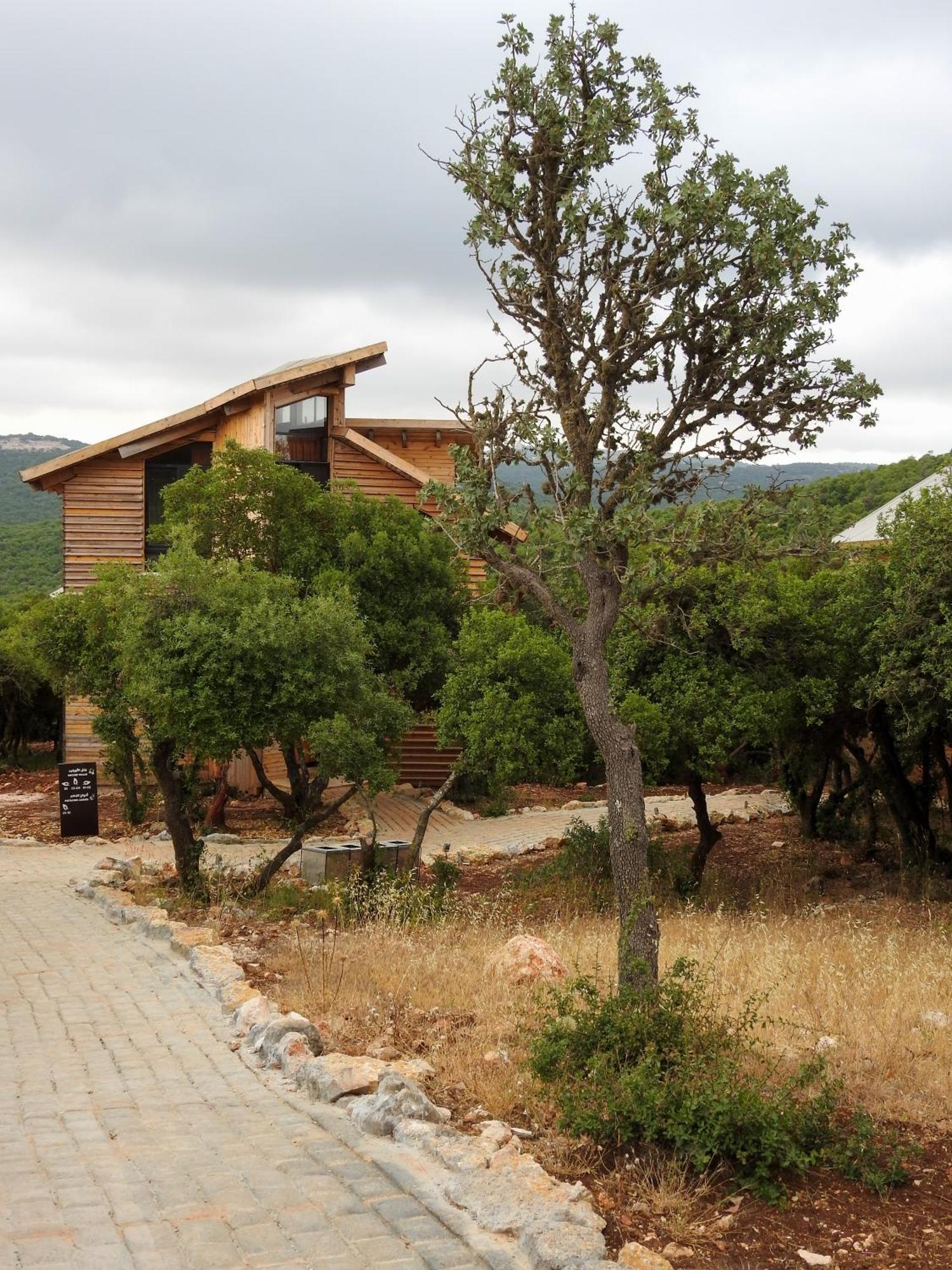 Hotel Ajloun Forest Reserve Zewnętrze zdjęcie