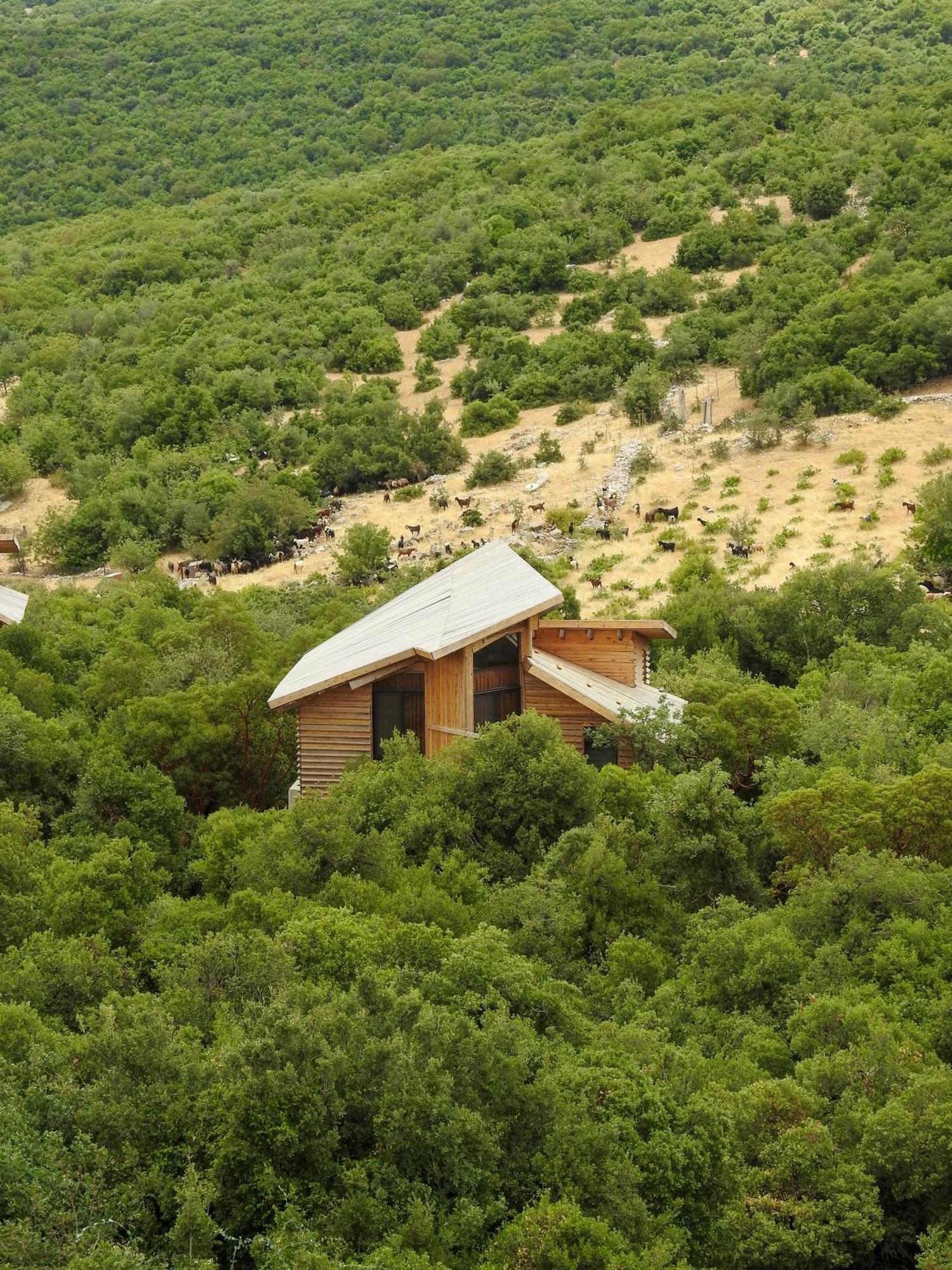 Hotel Ajloun Forest Reserve Zewnętrze zdjęcie