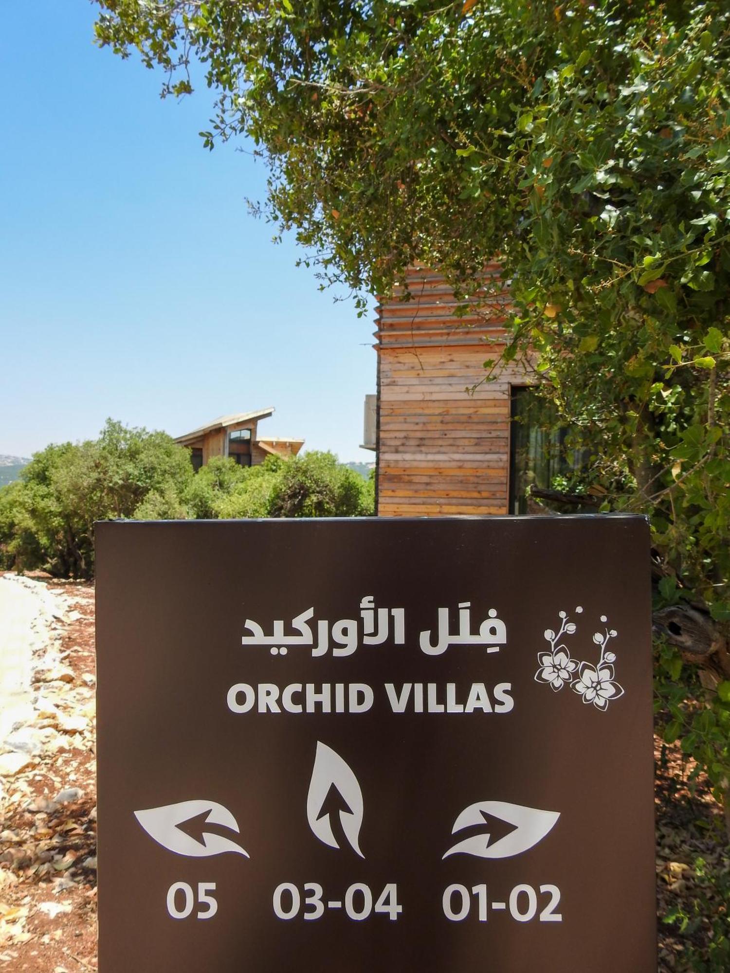 Ajloun Forest Reserve Dżarasz Zewnętrze zdjęcie
