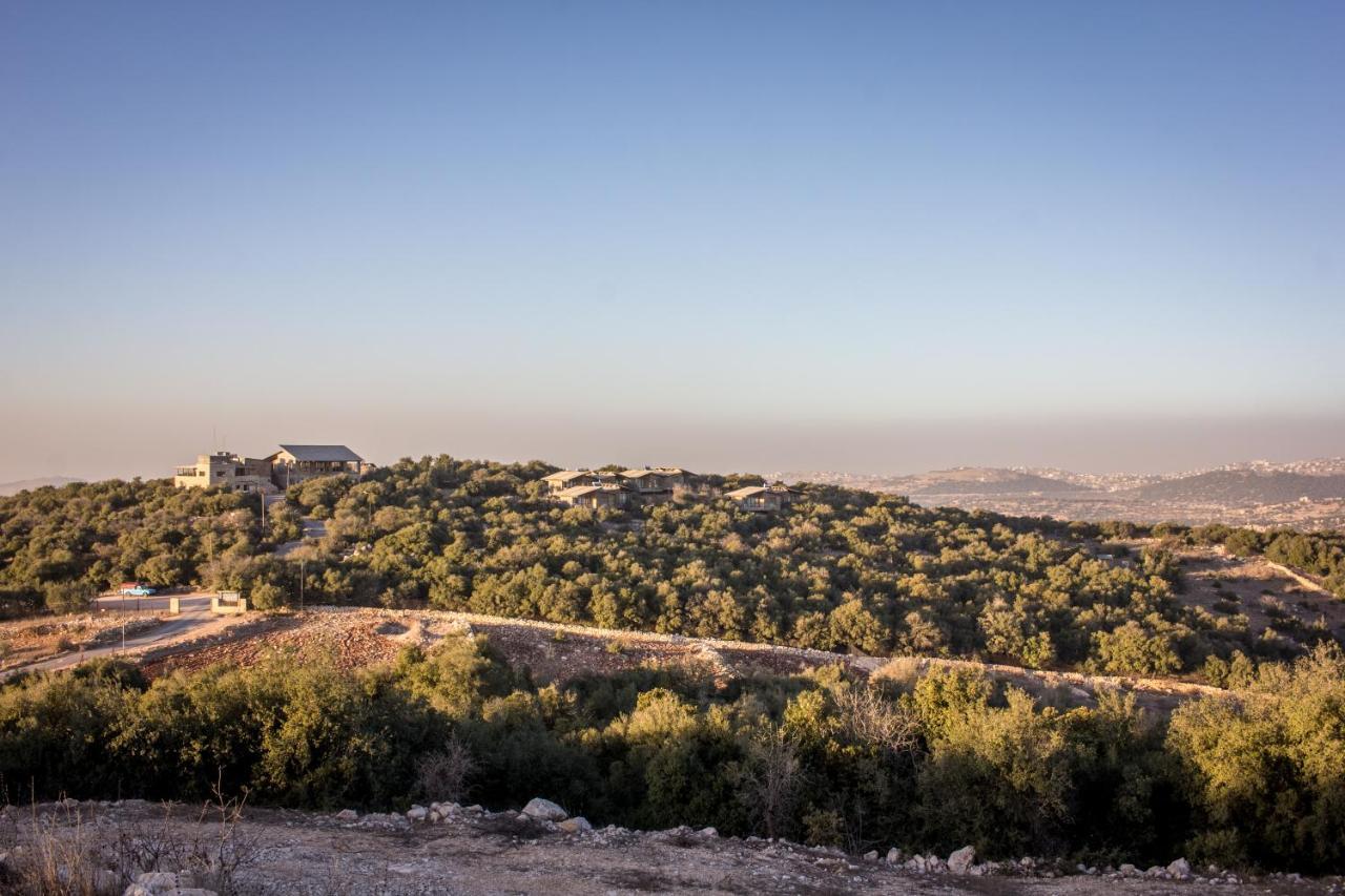 Ajloun Forest Reserve Dżarasz Zewnętrze zdjęcie