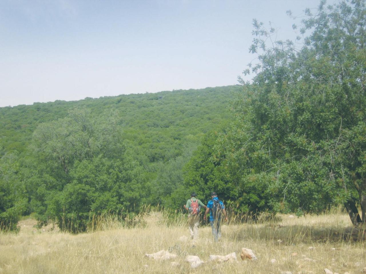 Ajloun Forest Reserve Dżarasz Zewnętrze zdjęcie
