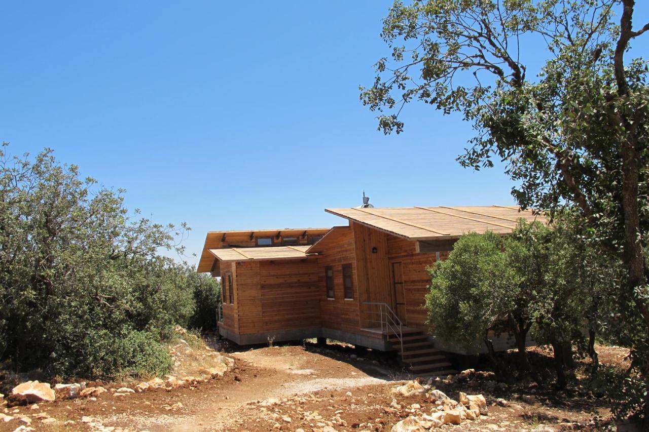 Hotel Ajloun Forest Reserve Zewnętrze zdjęcie