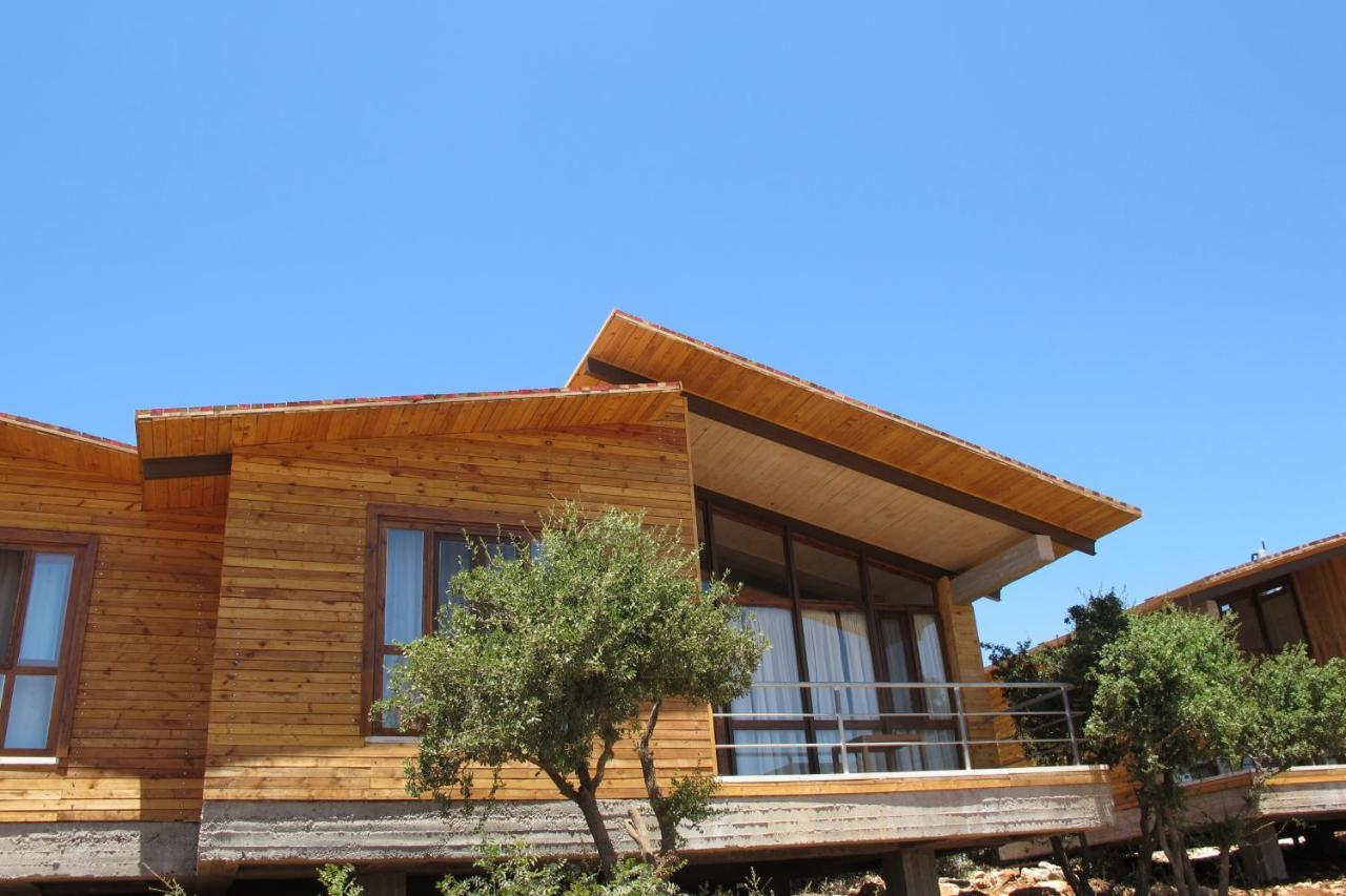 Ajloun Forest Reserve Dżarasz Zewnętrze zdjęcie