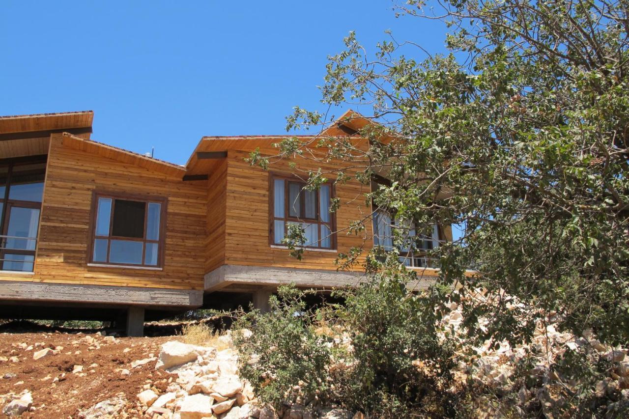 Hotel Ajloun Forest Reserve Zewnętrze zdjęcie