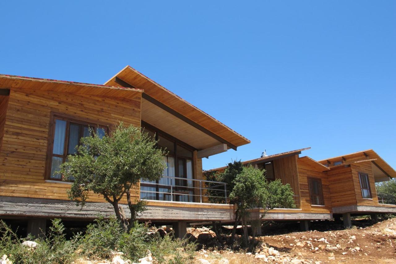 Hotel Ajloun Forest Reserve Zewnętrze zdjęcie