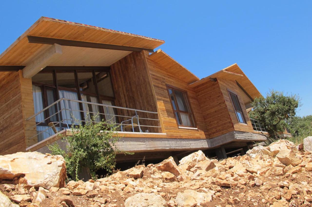 Hotel Ajloun Forest Reserve Zewnętrze zdjęcie