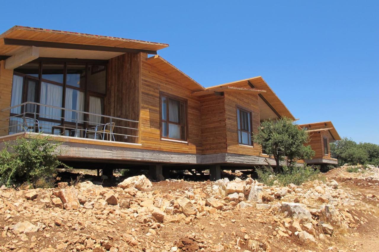 Hotel Ajloun Forest Reserve Zewnętrze zdjęcie