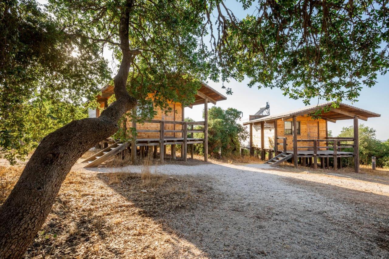 Ajloun Forest Reserve Dżarasz Zewnętrze zdjęcie