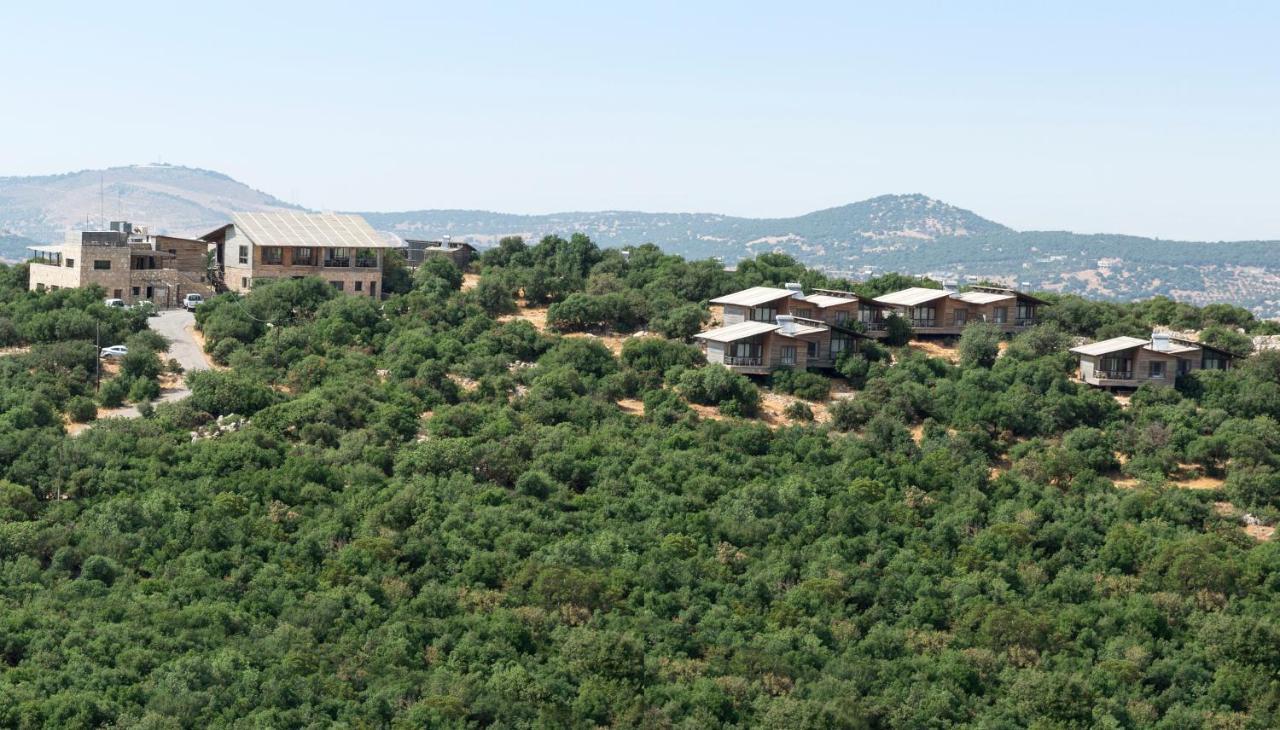 Hotel Ajloun Forest Reserve Zewnętrze zdjęcie